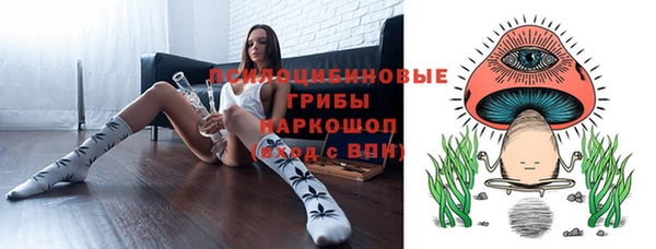 прущий лед Магас