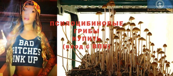прущий лед Магас