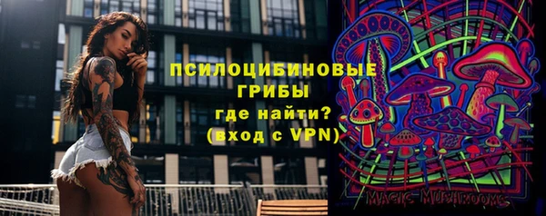 прущий лед Магас