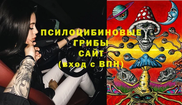 прущий лед Магас