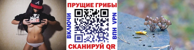 Псилоцибиновые грибы мухоморы  Купить закладки  Оса 